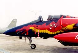 AERITALIA/AERMACCHI/EMBRAER AMX