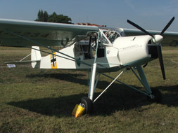 SLEPCEV STORCH