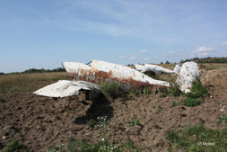 FIAT G.46-4B