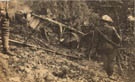 Lloyd C.III - Fabbri Filiberto