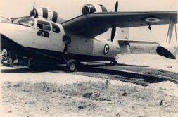 Piaggio P.136F - Gargari Marco