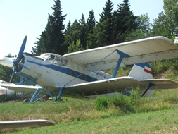 Antonov An-2 "Colt"