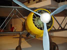 Fiat CR.42 "Falco"