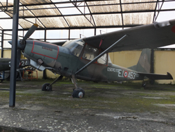 SIAI-MARCHETTI SM.1019E