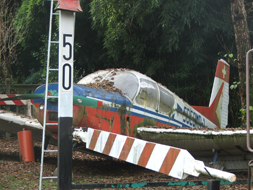 SIAI-MARCHETTI S.205