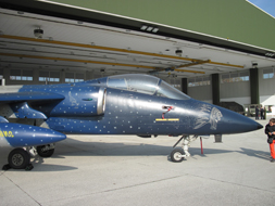 AERITALIA/AERMACCHI/EMBRAER AMX